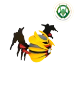 Figura Giratina Ball 3D Coleccionable - Imagen 3