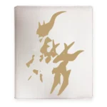 carpeta arceus 480